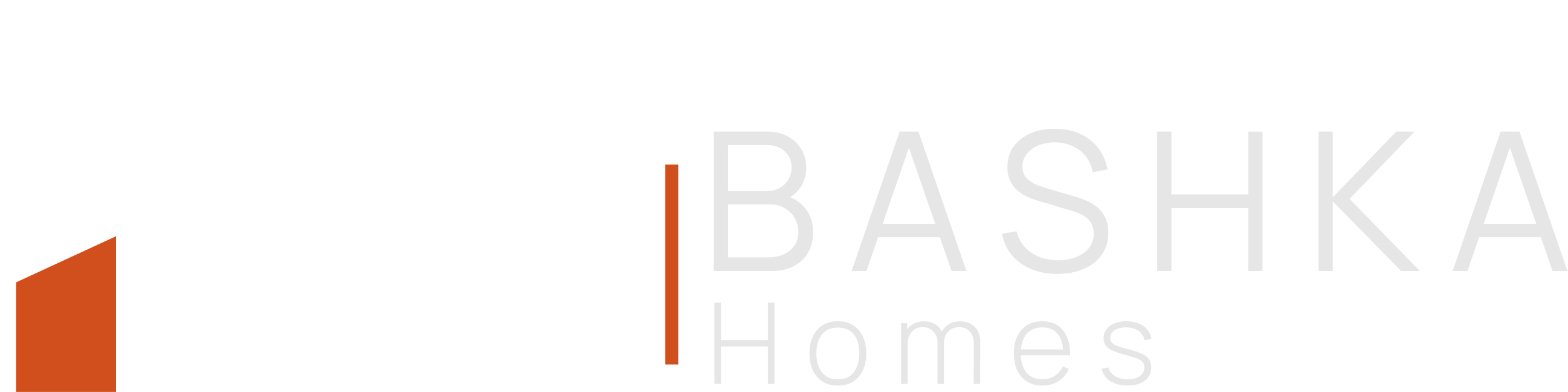 Bashka Homes Logo